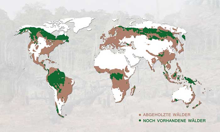 Tree Entry - Nachhaltigkeit event
